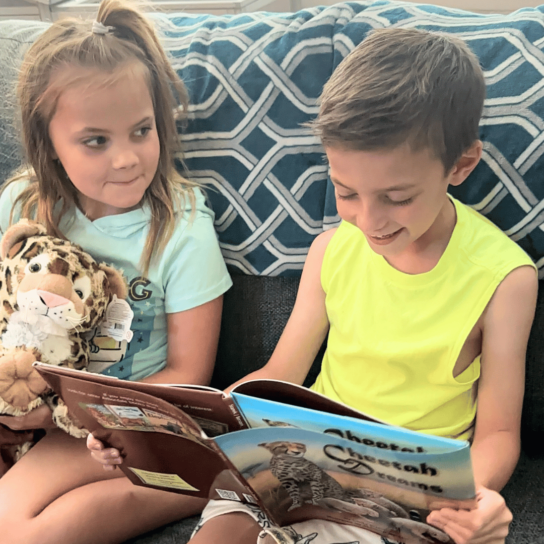 Book & Bear Picture Book Box - Ages 3 to 7