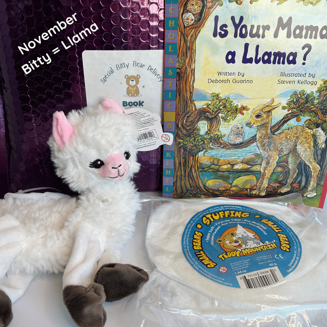 Bitty Animal Stuffing Kit & Activities