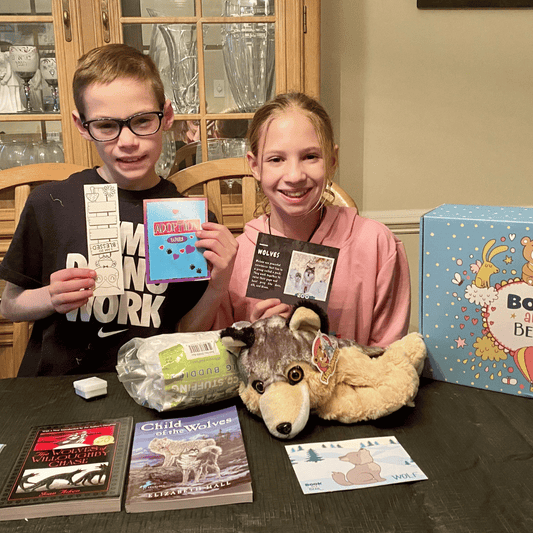 Book & Bear Chapter Book Box - Ages 8 & Up