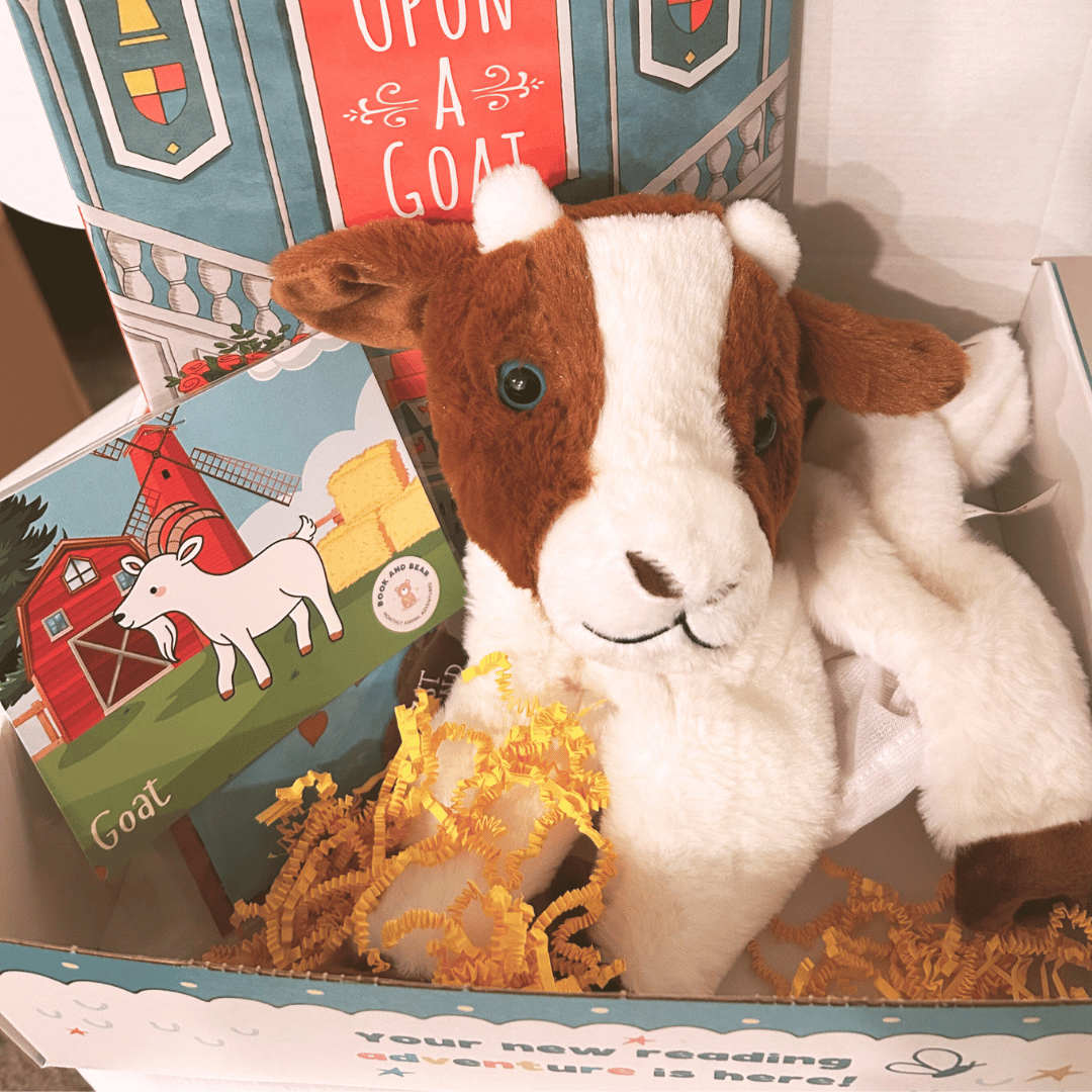 Open Goat Book and Bear Box