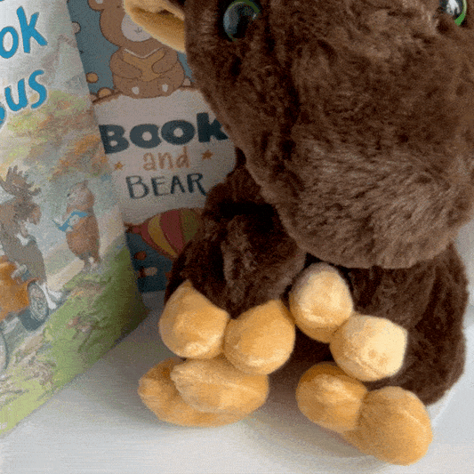 Moose Book and Bear Box Set