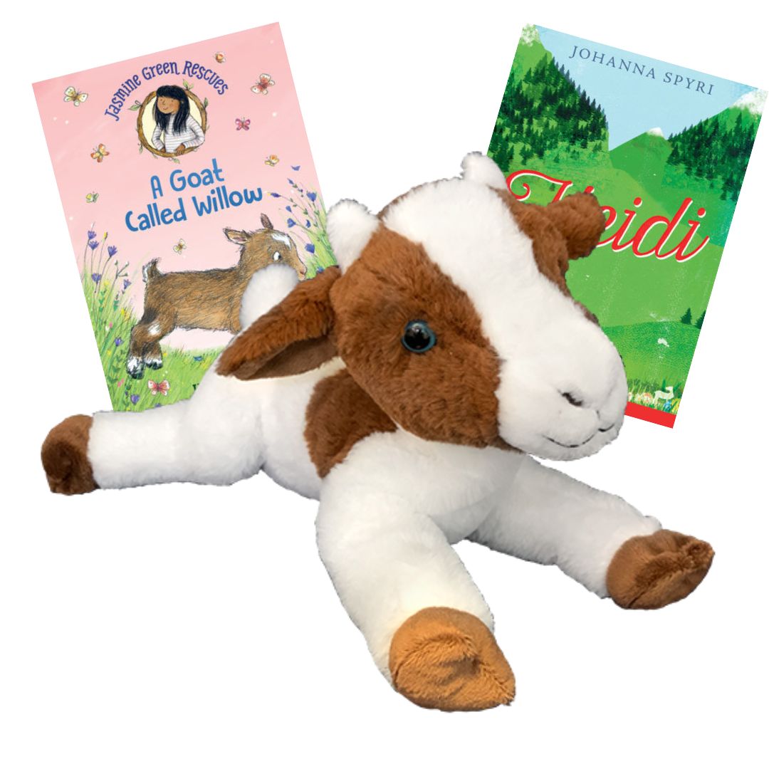 Book & Bear Chapter Book Box - Ages 8 & Up