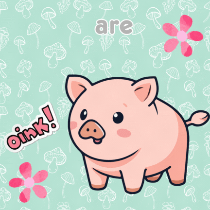 Piggy Stuffing Kit & Book – Craft, Cuddle & Imagine!