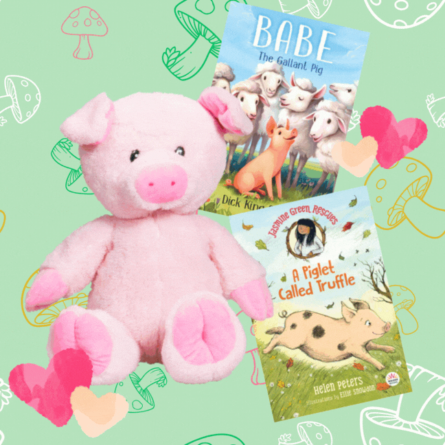 Piggy Stuffing Kit & Book – Craft, Cuddle & Imagine!