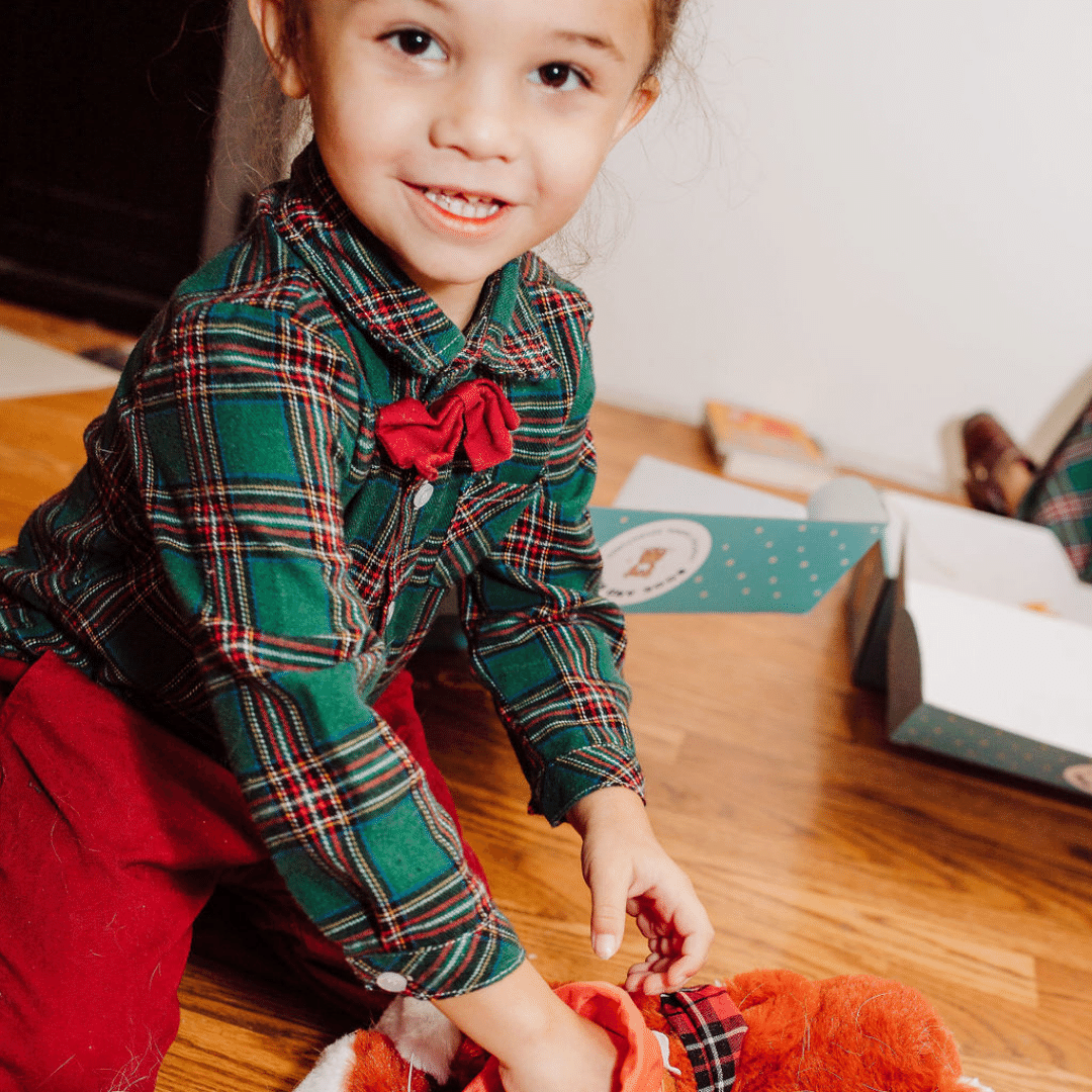 Red Fox Stuffing Kit & Book – Craft, Imagine & Explore!