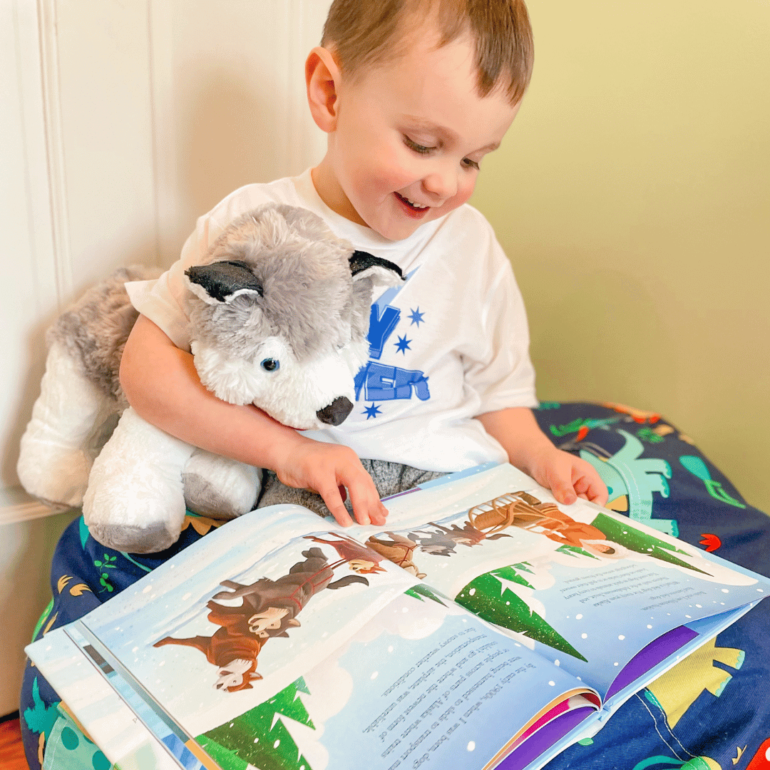 Book & Bear Picture Book Box - Ages 3 to 7