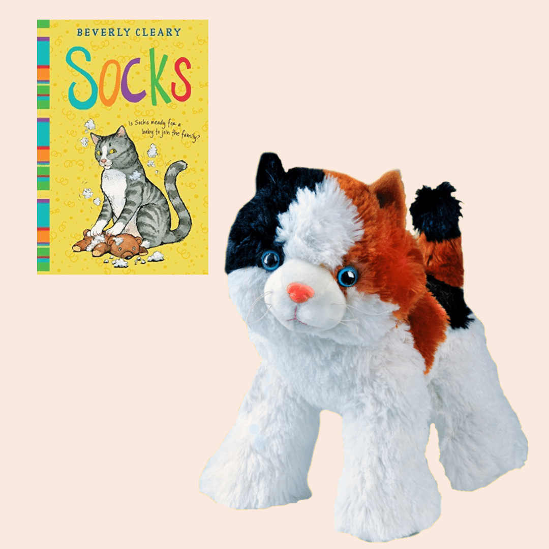 Kitty Book and Bear Box, Large Cat with Pumkin Cat Picture Book