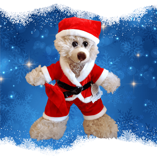 Santa Suit