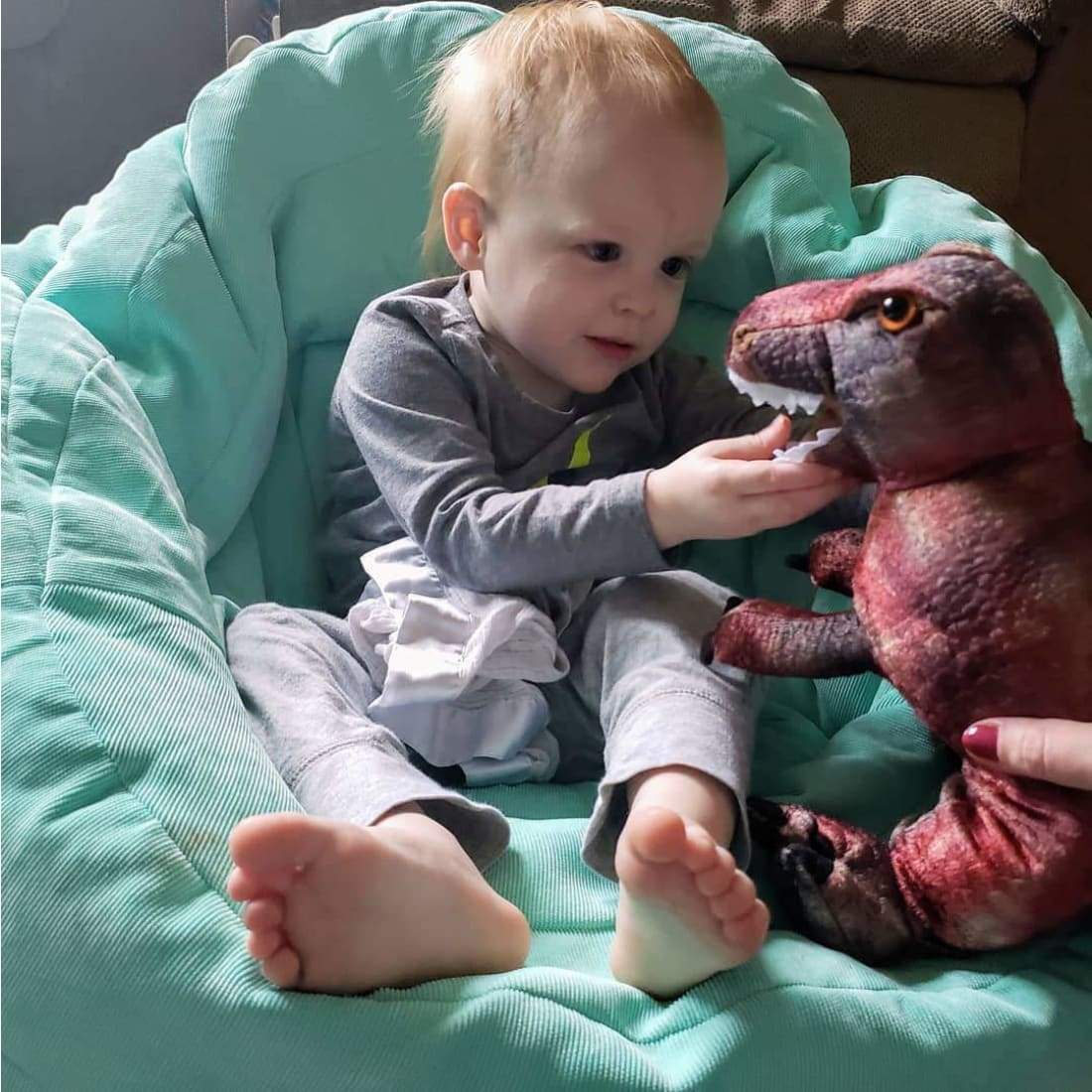 T-Rex Dinosaur Book and Bear Box Large T-Rex Ages 3-7 -