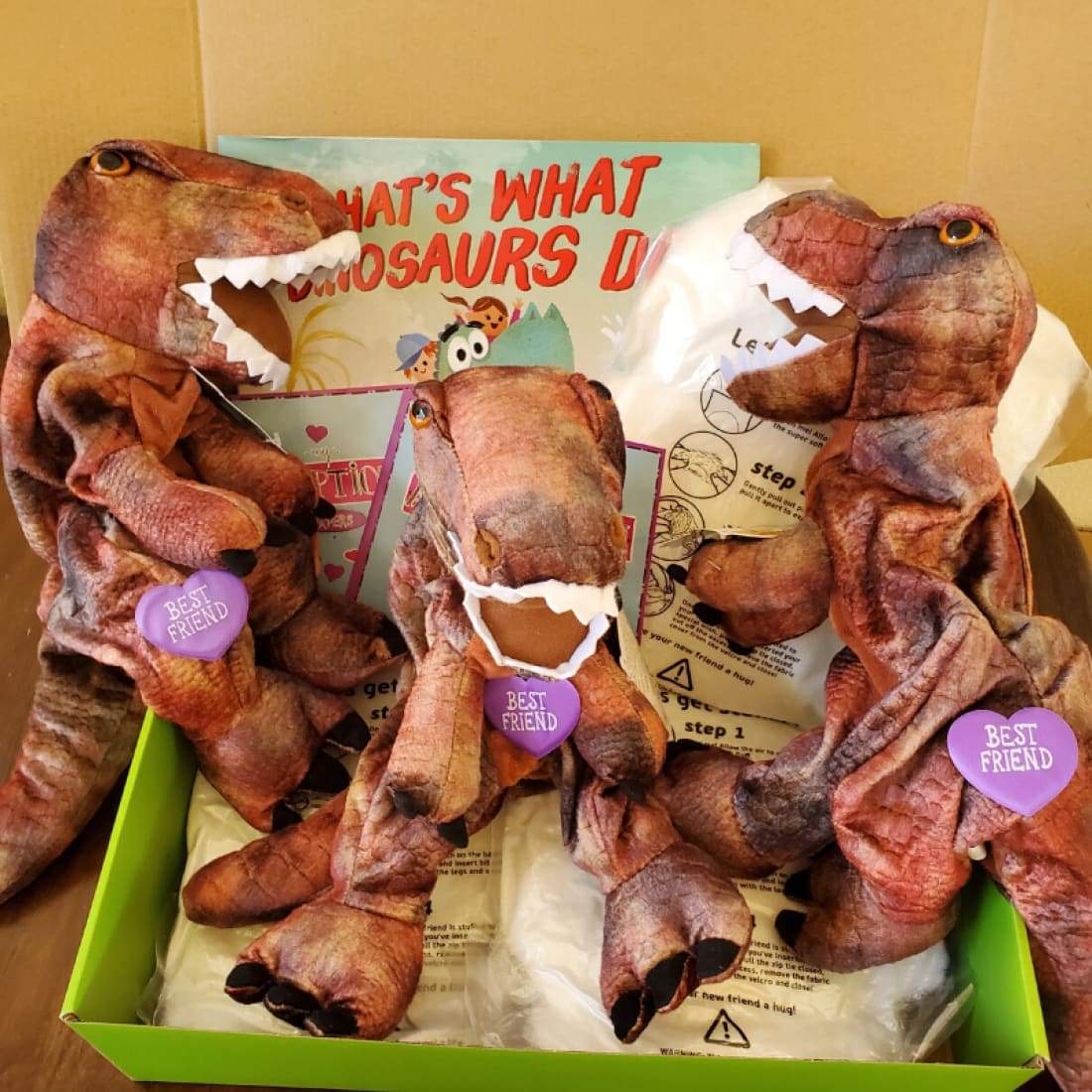 T-Rex Dinosaur Book and Bear Box Large T-Rex Ages 3-7 -