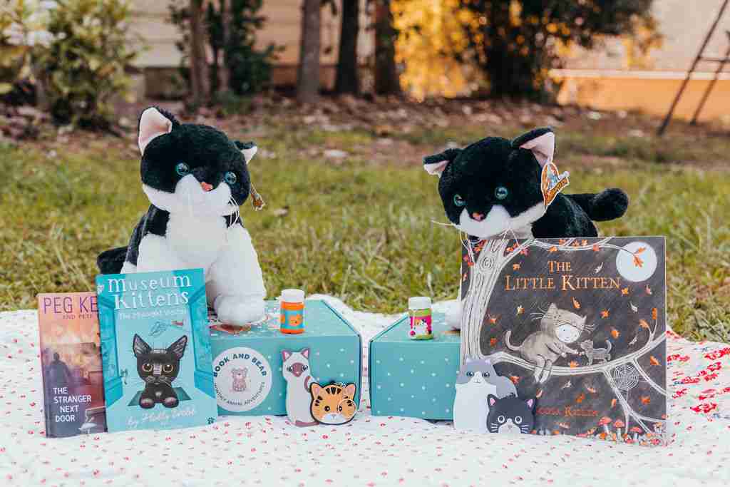 Kitten Book and Bear Boxes with picture book or chapter books