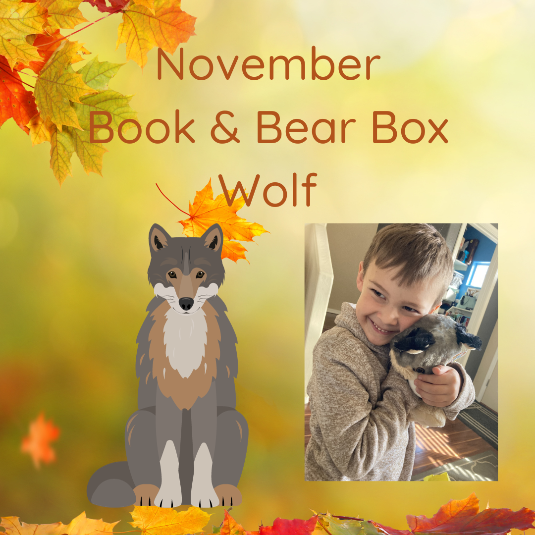 Book and Bear Animal Book Subscription