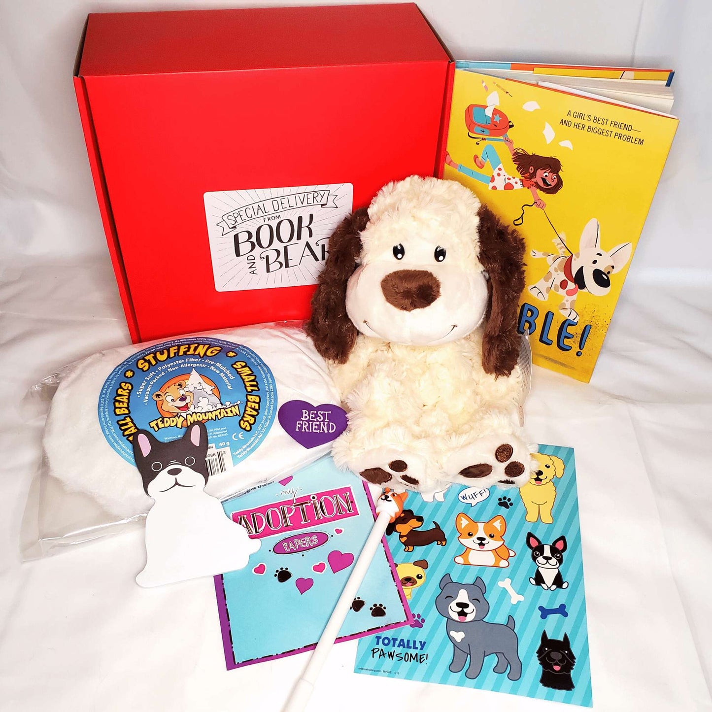 Book & Bitty Bear Subscription Book and Bear