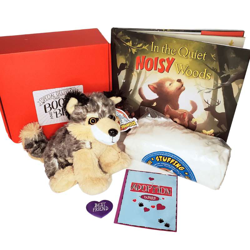 Book & Bitty Bear Subscription Book and Bear