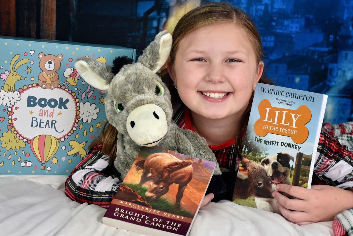 Peek Inside A Book and Bear Box