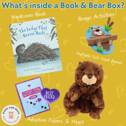 Beaver Stuffing Kit & Book Set