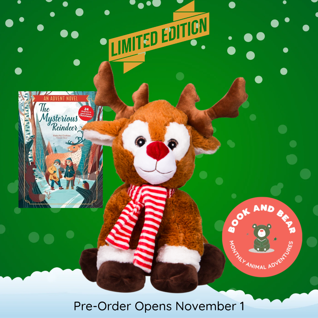 Christmas Reindeer 2026 Special Edition Book & Bear Box - ESA