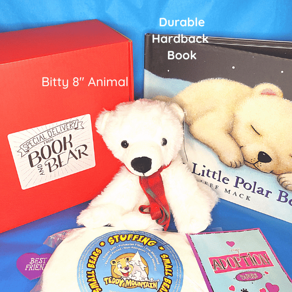 Book & Bitty Bear Box - Chapter Book