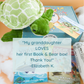 Sea Turtle Stuffing Kit and Book Set by Book and Bear