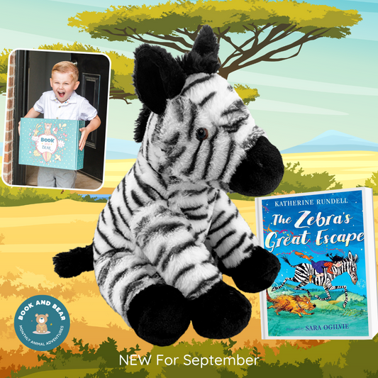 Zebra Book and Bear Box