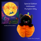 Bitty Pumpkin Kitty Stuffing Kit & Book Set