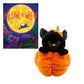 Bitty Pumpkin Kitty Stuffing Kit & Book Set