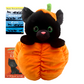 Pumpkin Kitty Stuffing Kit & Chapter Books – Spooky & Sweet!