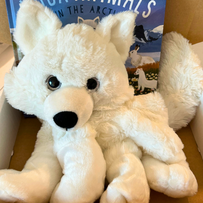 Book & Bear Subscription Box