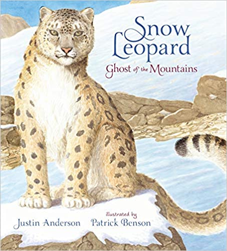 Snow Leopard Stuffing Kit and Book Set by Book and Bear