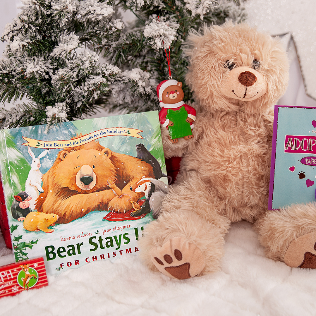 Book and Bear Christmas Teddy Bear Stuffing Set and Book