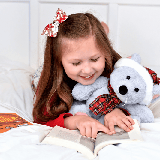 Book & Bear Chapter Book Box - Ages 8 & Up