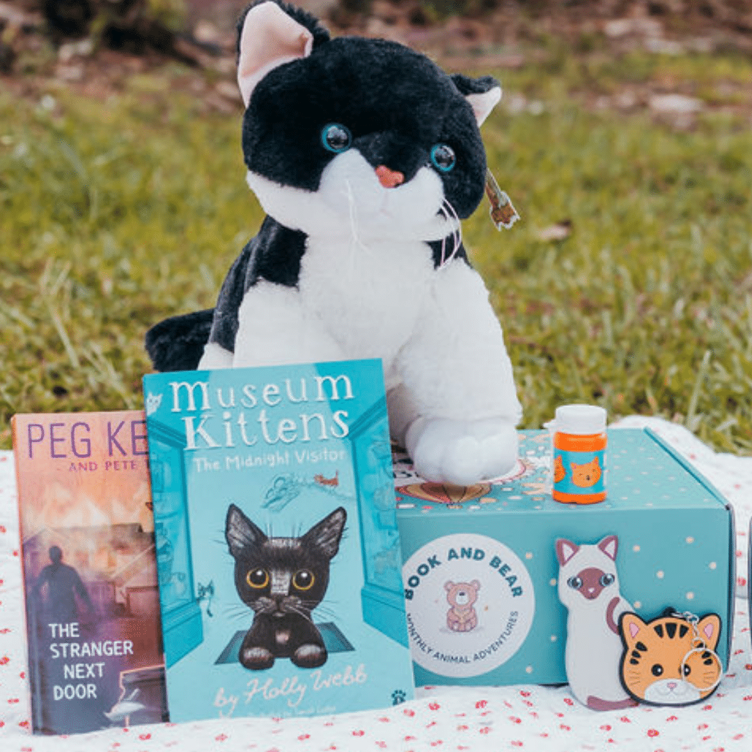 Kitten Stuffing Kit and Book Set by Book and Bear