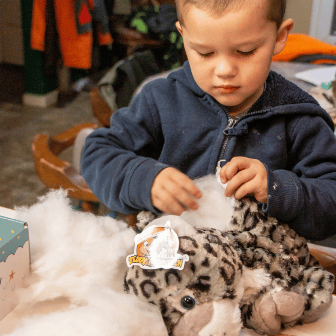 Snow Leopard Stuffing Kit and Book Set by Book and Bear