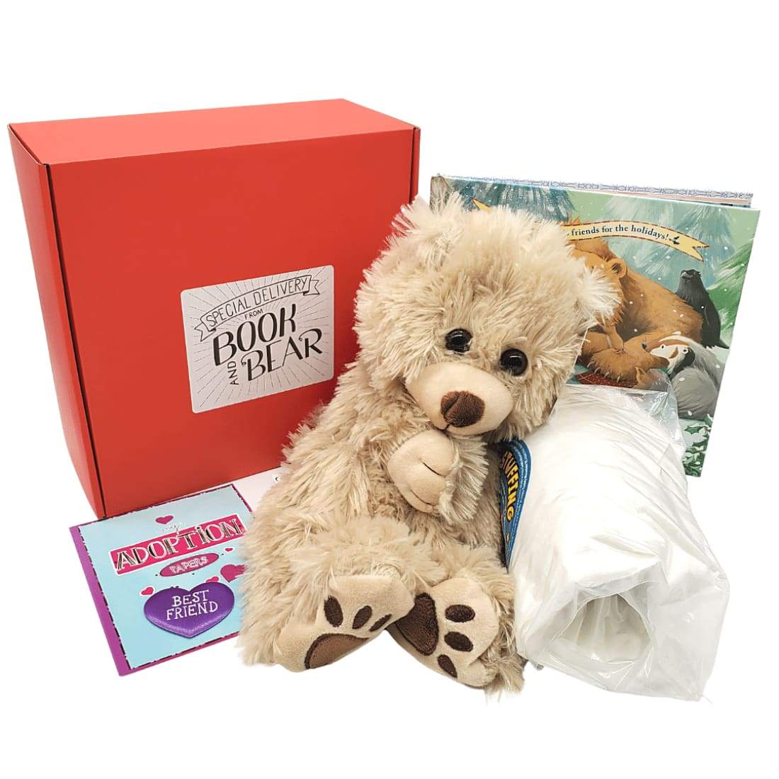 Christmas Teddy Bear Book and Bear Box with a Teddy Bear to easily build yourself, a picture book, and a Christmas gift surprise. Outside the box view on white background.