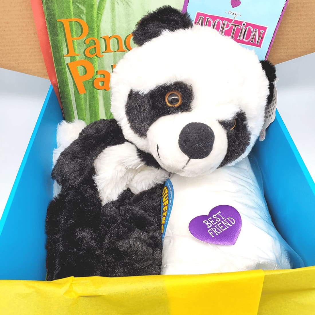 Panda Book and Bear Box - Large Plush Panda with Chapter 