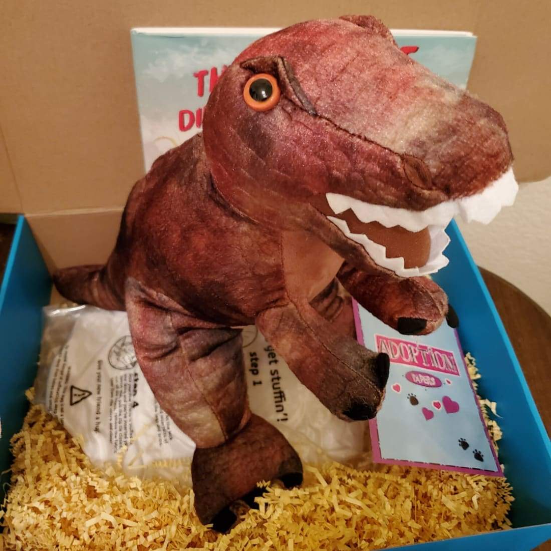 T-Rex Dinosaur Book and Bear Box Large T-Rex Ages 3-7 - 